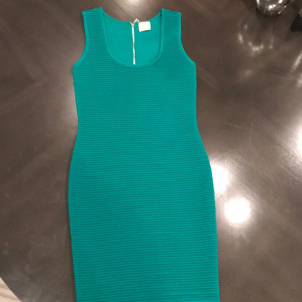 Ronny kobo bodycon green dress